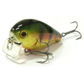 Воблер Lucky Craft Clutch SSR 884 Aurora Gold Northern Perch