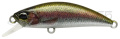 Ryuki 38S