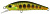 Воблер DUO Spearhead Ryuki 50S Takumi цв. ANI4004