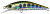 Воблер DUO Spearhead Ryuki 50S Takumi цв. ANA4034