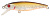 Воблер PONTOON 21 Greedy-Guts 55SP-MDR, цв. 417