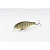 Воблер Lucky Craft Pointer 100SR цв. NC Female Bluegill