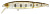 Воблер Pontoon 21 Tantalisa 70JF SR 351