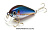 Воблер Lucky Craft Clutch SR-270 MS American Shad