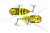 Воблер Jackall Suisen 43F цв. sight clear insect