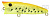Воблер ZipBaits ZBL Popper TINY 578R