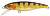 Воблер Pontoon 21 Greedy Guts 88SP SR 437